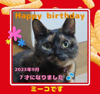 作例