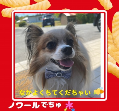 作例
