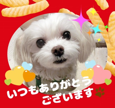作例