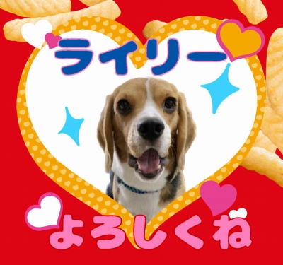 作例