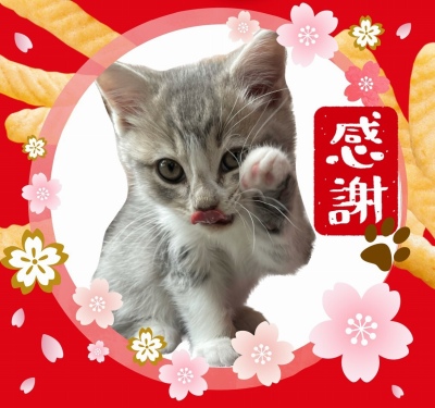 作例