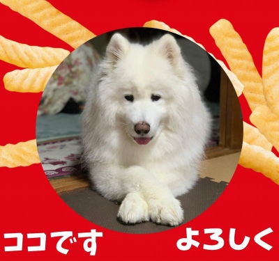作例