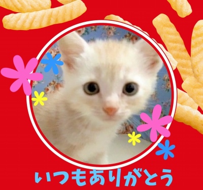 作例