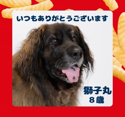 作例