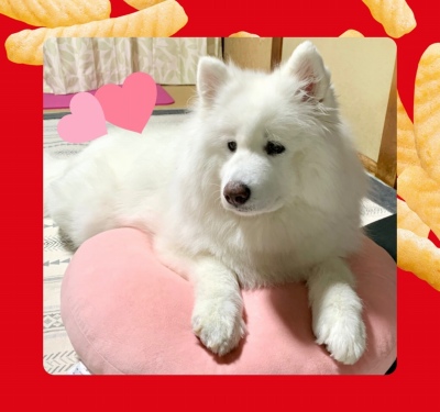 作例