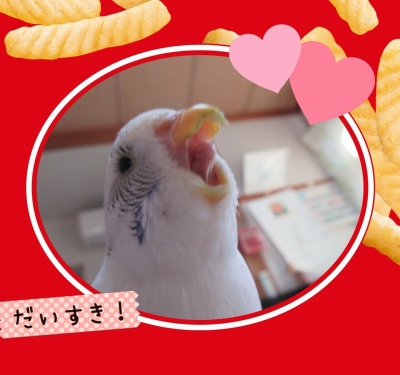 作例