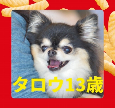 作例