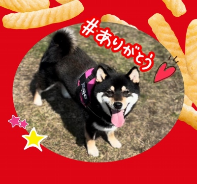 作例