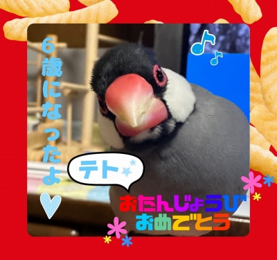 作例