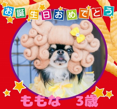 作例
