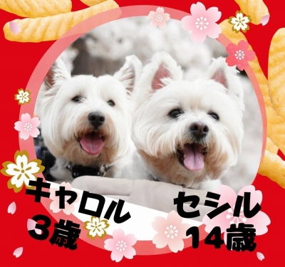 作例