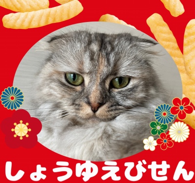作例