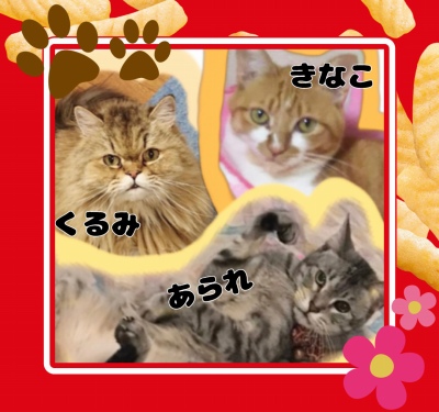 作例