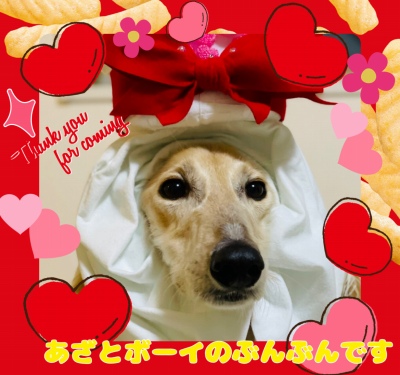 作例