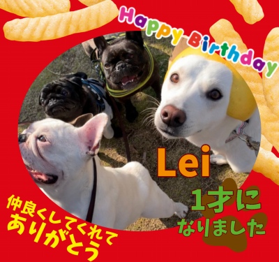 作例