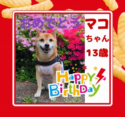 作例