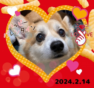 作例