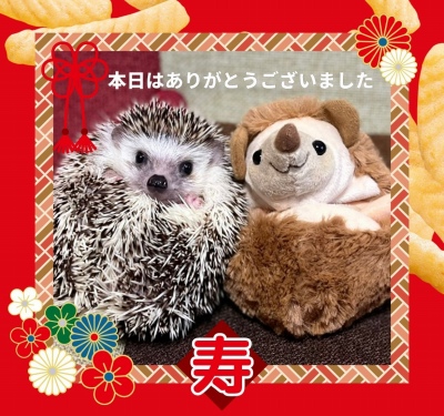 作例