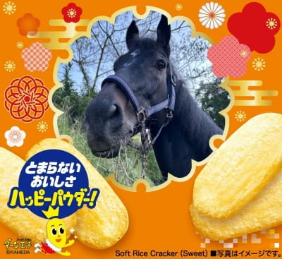 作例