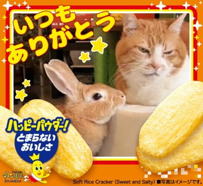 作例