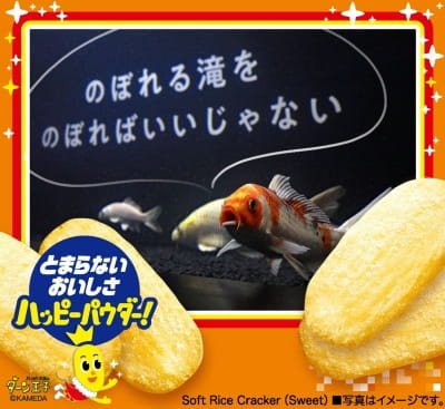 作例