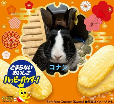 作例