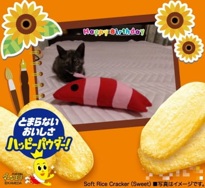 作例