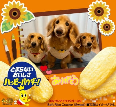 作例