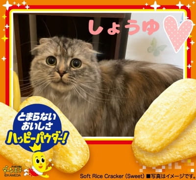 作例