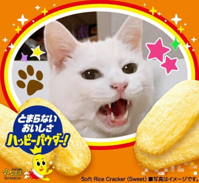 作例