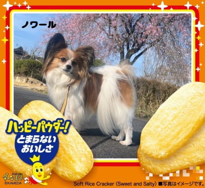 作例