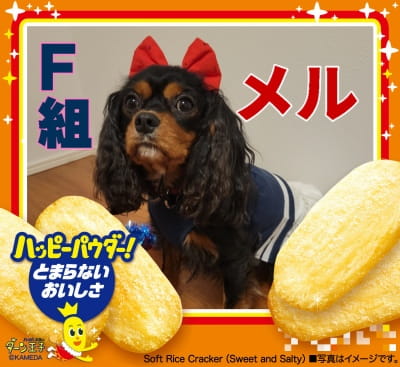 作例