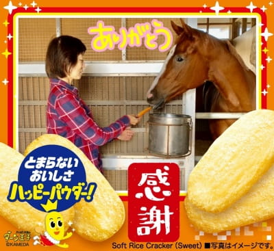 作例