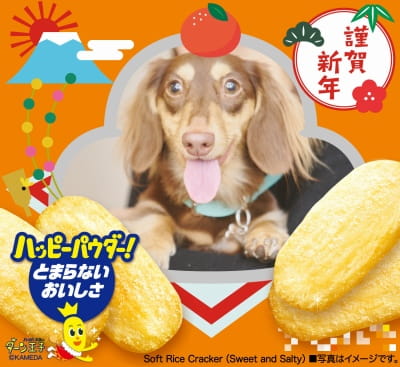 作例