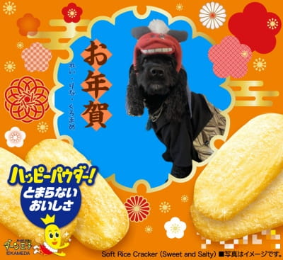 作例