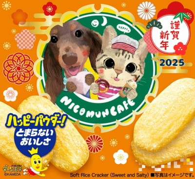 作例