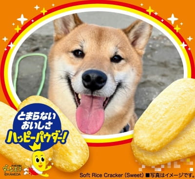 作例