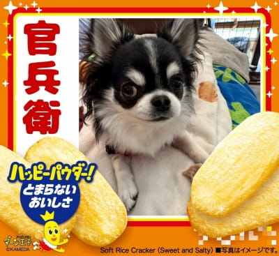 作例