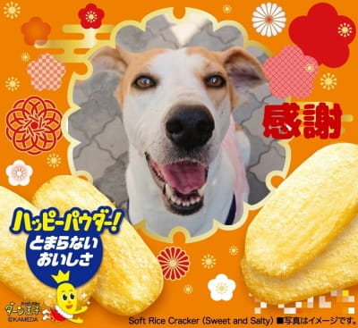 作例