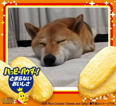 作例