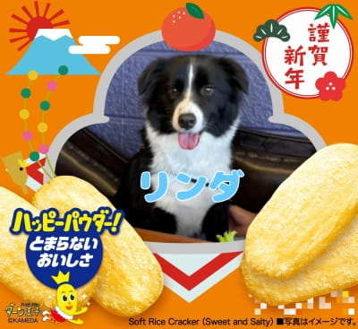 作例