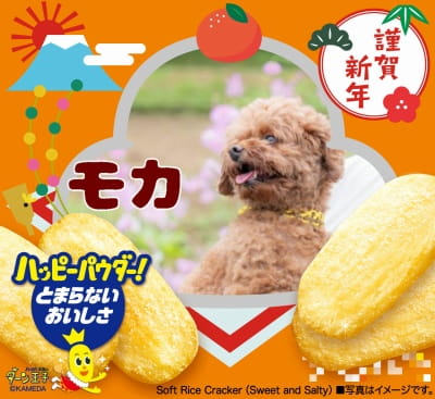作例