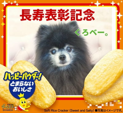 作例