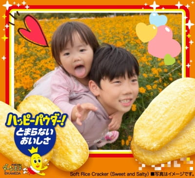 作例