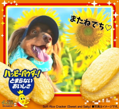 作例