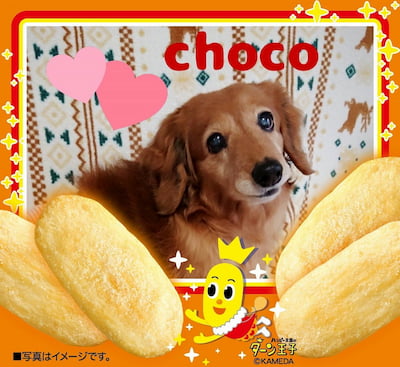 作例