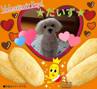作例