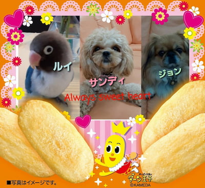 作例