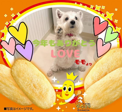作例