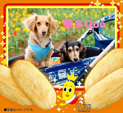 作例
